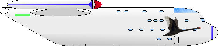 Black Swan.png